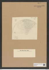 Aulacodiscus grunowii var. quamosus Pant. (de-Toni-Nr.: Genus 182, Species 4555) Zeichnungen Sammlung Grunow Nr. 8164 (NHMW-BOT-W0377531)